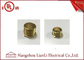 BSI Stahdard Brass Lock Nut Male / Female Bush GI Chủ đề Loại lục giác nhà cung cấp